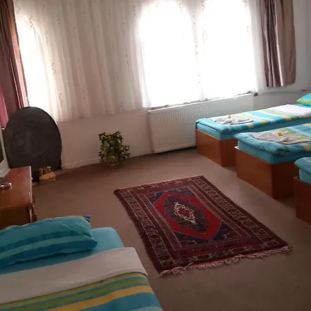 Ozyel 3*
